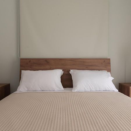 Vasilopoulos Residences - Apartments Ioni & Neso アルゴストリオン エクステリア 写真