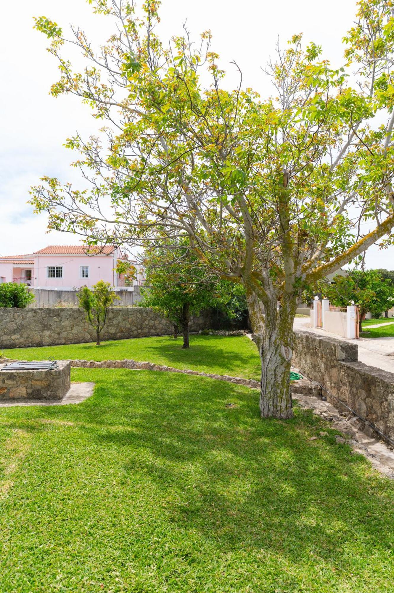 Vasilopoulos Residences - Apartments Ioni & Neso アルゴストリオン エクステリア 写真